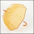 Dome shape transparent Umbrella