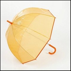 Dome shape transparent Umbrella