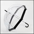 Dome shape PVC clear Umbrella with black printing edge 1