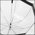 Dome shape PVC clear Umbrella with black printing edge 4