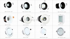 LED Down Light