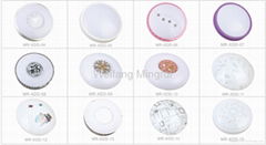 Surface Mounted LED Ceiling Light