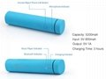Charger Powerbanks 2