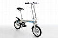 Electric bike  1