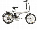 Electric bike  5