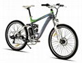 Electric bike