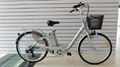 Electric bike  1