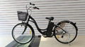 Electric bike  2