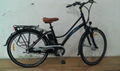 Electric bike  4