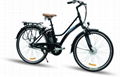 Electric bike  5