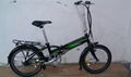 Electric bike  1