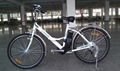 Electric bike  1