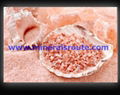  Himalayan Granulated Salt 4