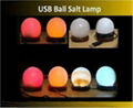 Himalayan USB Salt Lamps 2