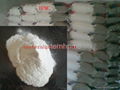 Hydroxy Propyl Methyl cellulose 1