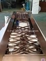 Decorative screen door guards with specular stainless steel