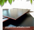 16mm black melamine film faced plywood