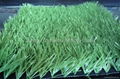  artificial grass for football with cheap price 3