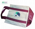 non woven promotional bag 1