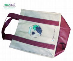 non woven promotional bag