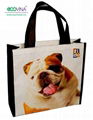 non woven laminated promotional bag 1