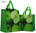 non woven laminated promotional bag 4