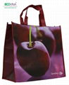 non woven laminated promotional bag 5