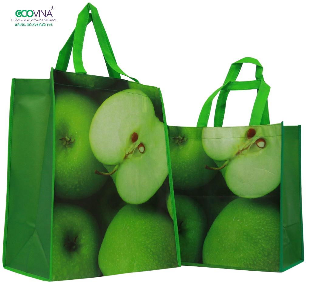 2014 hot sales pp non woven laminated promotional bag