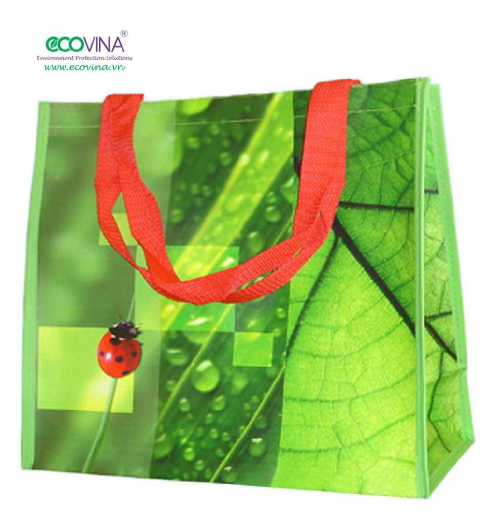 2014 hot sales pp non woven laminated promotional bag 2