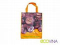 non woven laminated promotional bag 1