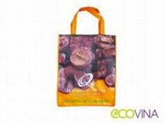 non woven laminated promotional bag