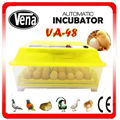 Professional mini incubators for hatching eggs