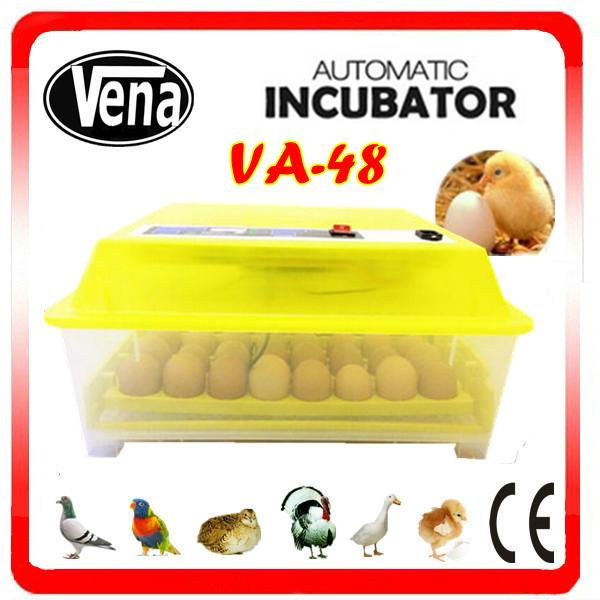 Professional mini incubators for hatching eggs