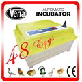 2014 Fully automatic Chicken mini incubator for family use VA-48