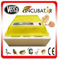 Transparent egg incubator for 48 eggs