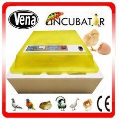 Transparent egg incubator for 48 eggs VA-48 Mini Chicken egg incubator