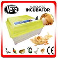 CE Approved fully automatic mini chicken egg incubator for hot-selling 1