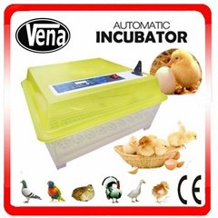 CE Approved fully automatic mini chicken egg incubator for hot-selling