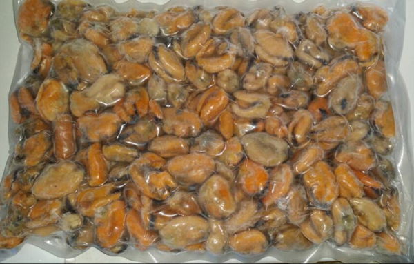 frozen mussel meat  3