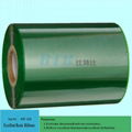 Competitive Color Thermal Transfer