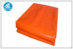  pe tarpaulin  &any color and size could make with pp rope eyelet 