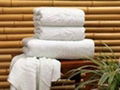 Bamboo Bath Towel 2