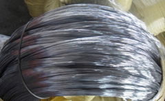 Spring Steel Wire