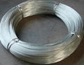 Binding Wire