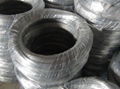 Hot Dipped Galvanized Wire