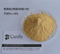 Cili Fruit powder