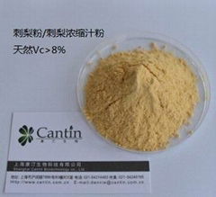 Cili Fruit powder