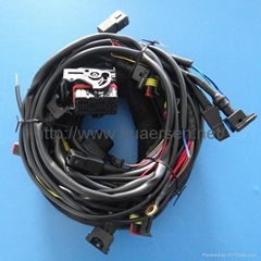 Wire harness for CNG conversion kits