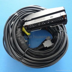 CNG ECU Wire Harness for Squential Injction System