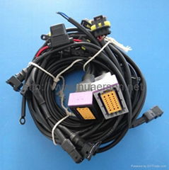 CNG wire harness 24Pin